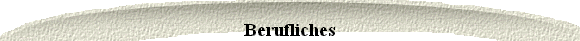  Berufliches 