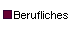  Berufliches 