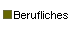  Berufliches 